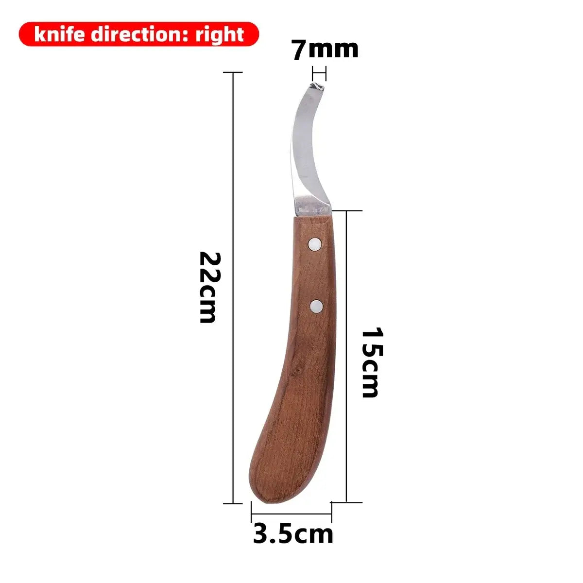 🛠️ Petoria™ Edelstahl Hufmesser