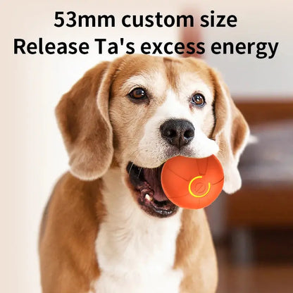 USB-aufladbarer interaktiver Spielball für Hunde Petoria