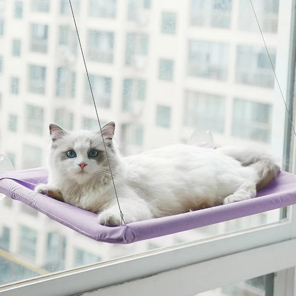 Katzenhängematte für Fenster mit Saugnäpfen