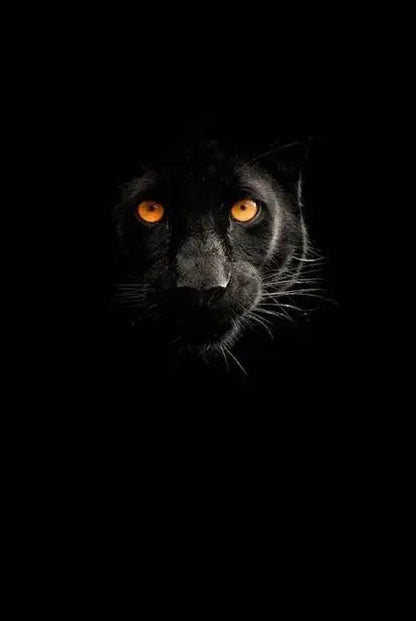 Canvas Painting Animal Art Black Panther Feline Wildlife Posters and Prints Wall Art Picture for Living Room Home Decor Cuadros Petoria Store
