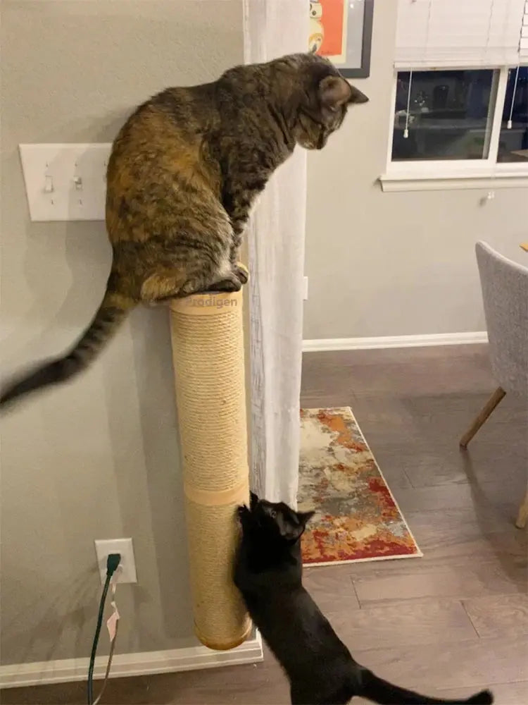 Kratzbaum für Katzen Petoria