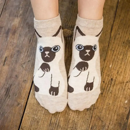 Katzen Socken Set