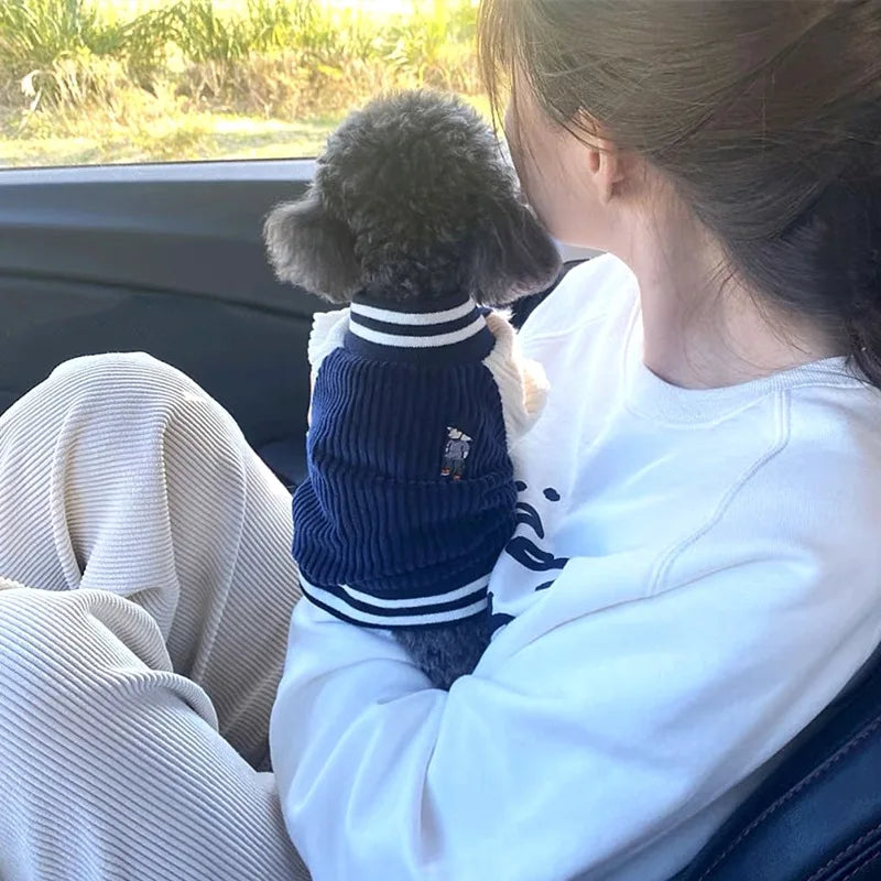 Niedliche bestickte Haustier-Baseballjacken, Hundekleidung für kleine und mittelgroße Katzen, Teddy-Mantel, Welpen-Frühlingskleidung, warmes, modisches Haustier-Outfit