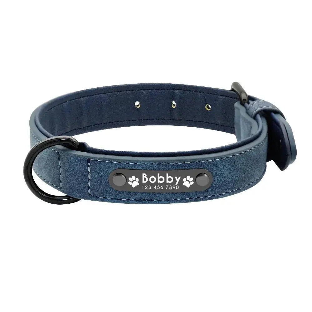 Personalisiertes Leder-Hundehalsband mit Namensschild Petoria