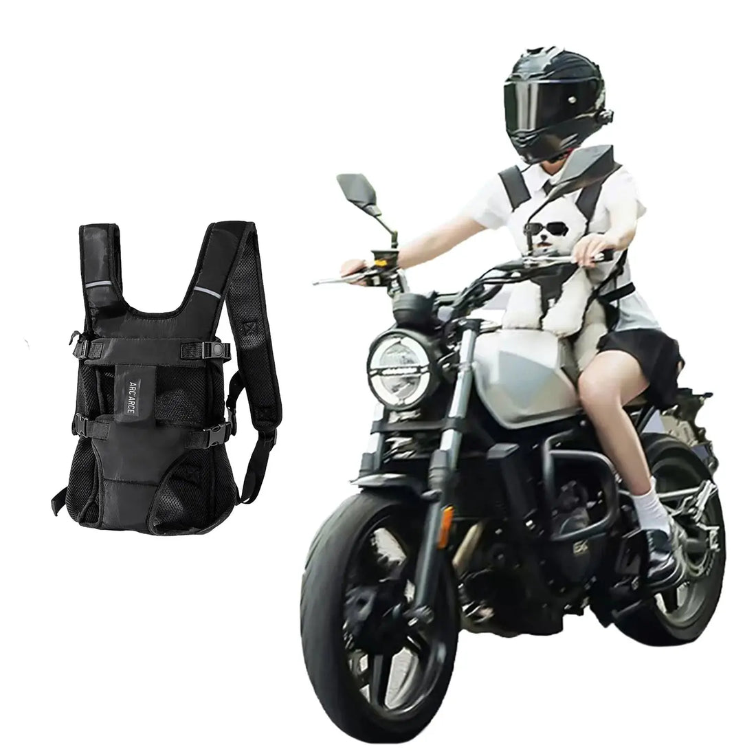 🐾 Petoria® Komfort-Hunderucksack – Ergonomische Tragetasche für Hunde &amp; Katzen Petoria