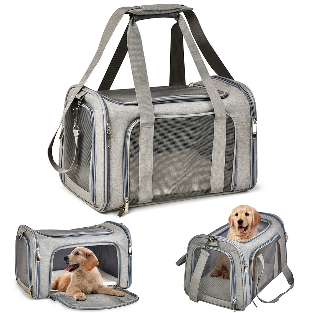 Petoria® Premium Haustier-Tragetasche für Hunde &amp; Katzen – Faltbar