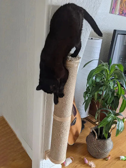 Kratzbaum für Katzen Petoria