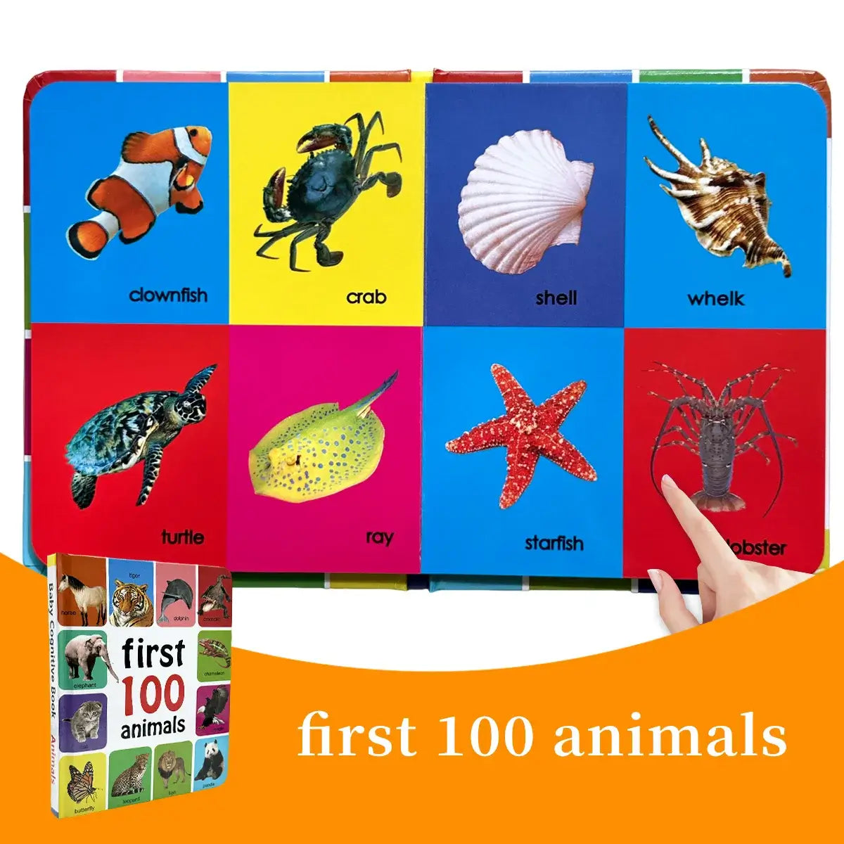 100 Tiere Lern- &amp; Malbuch für Kinder Premium